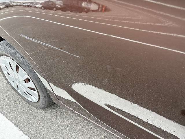 282.jpg