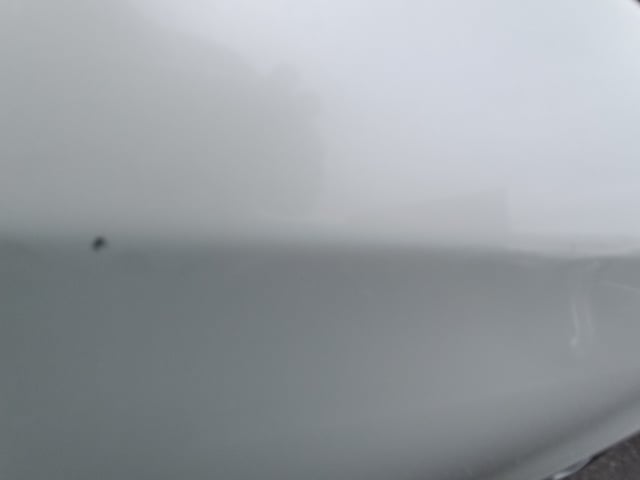 290.jpg