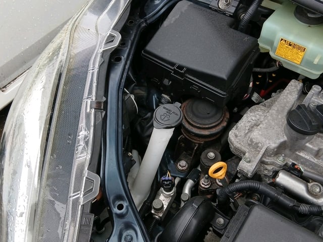 280.jpg