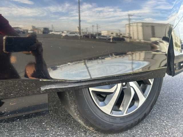 281.jpg