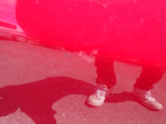 282.jpg