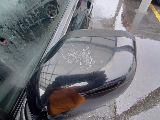 291.jpg