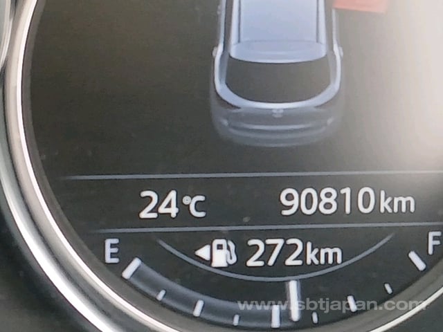 29.jpg