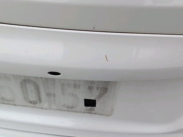 280.jpg