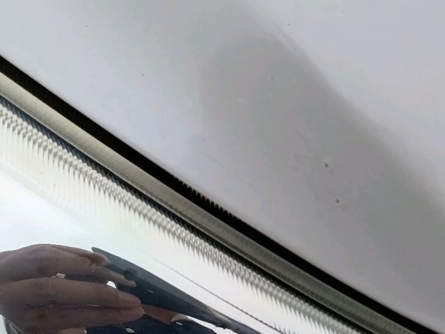 283.jpg