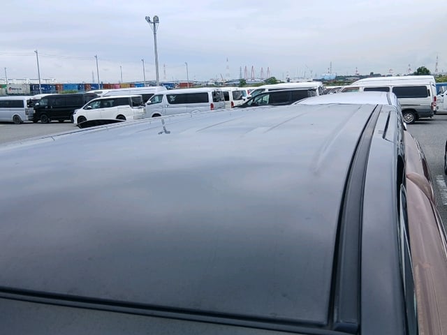 282.jpg