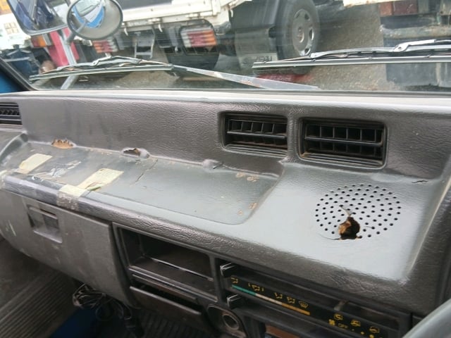 281.jpg