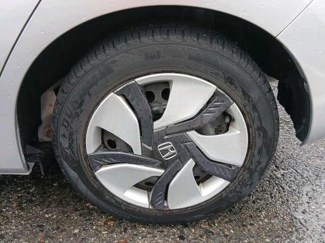 295.jpg