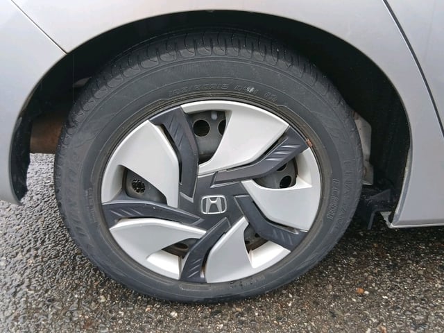 296.jpg