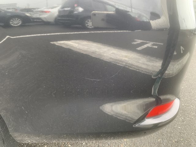 281.jpg
