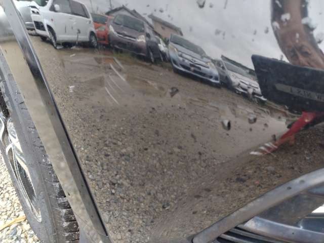 281.jpg