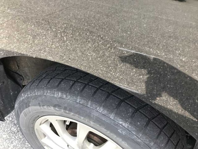 281.jpg