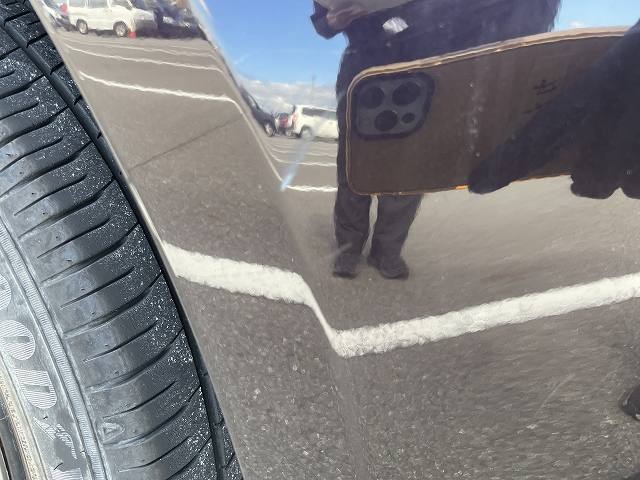 281.jpg