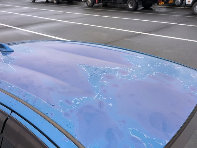 280.jpg