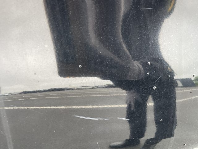 281.jpg