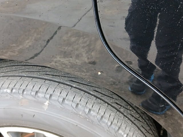 282.jpg