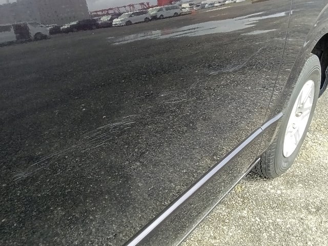 281.jpg