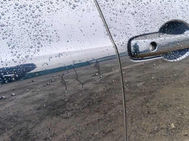 280.jpg