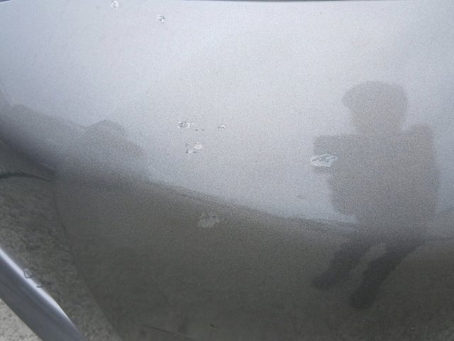 281.jpg