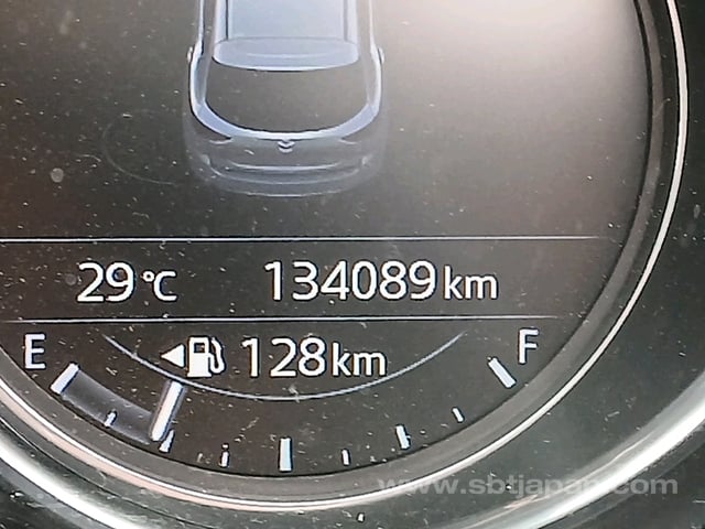 29.jpg