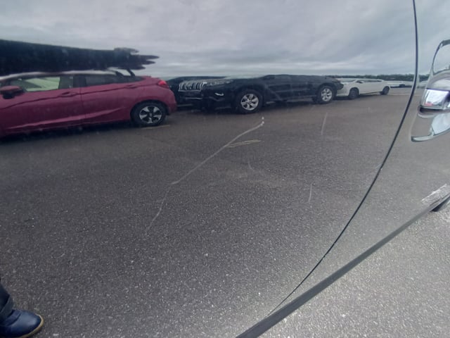 290.jpg