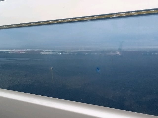 295.jpg
