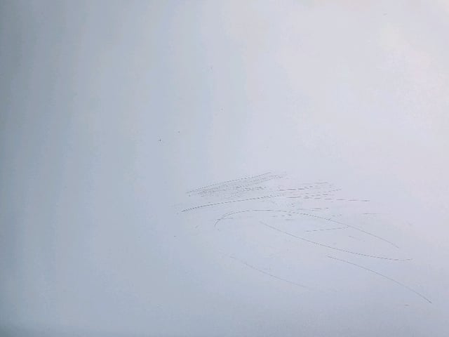 285.jpg