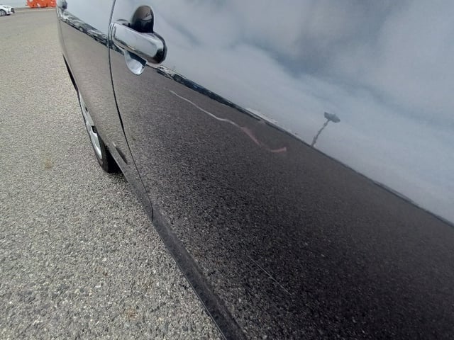 295.jpg