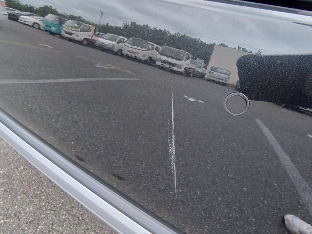 281.jpg