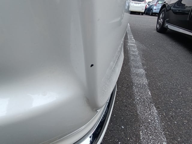 282.jpg