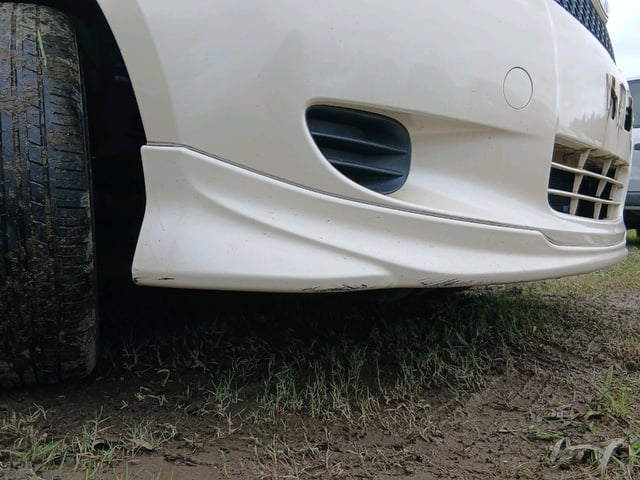 289.jpg