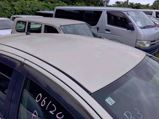 304.jpg