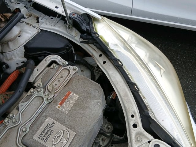 282.jpg
