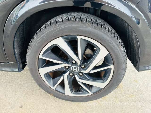 49.jpg