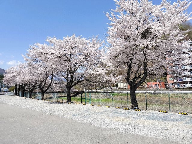 97.jpg