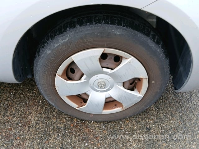 41.jpg