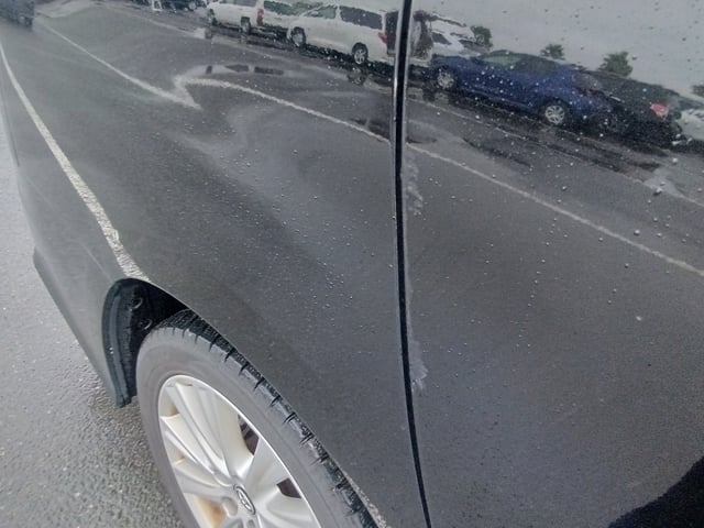 283.jpg