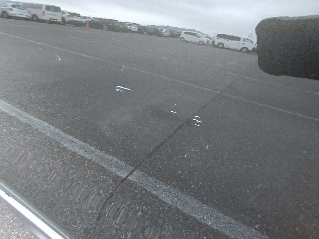 282.jpg