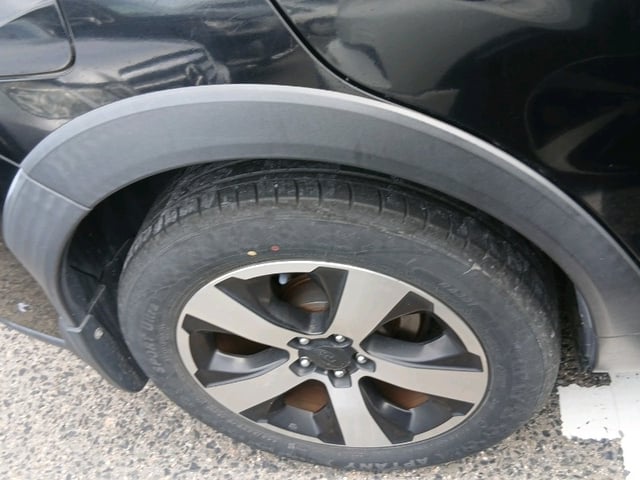 286.jpg