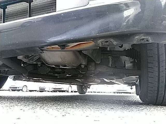 29.jpg