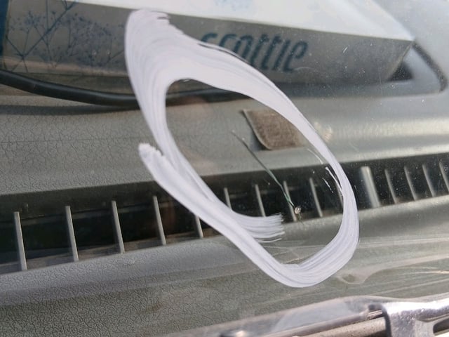 285.jpg