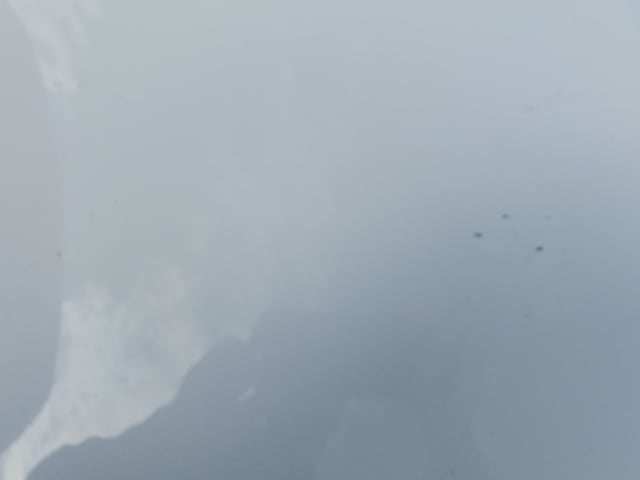 289.jpg