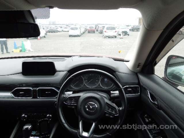 8.jpg