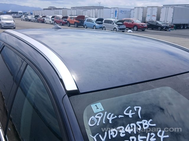 42.jpg