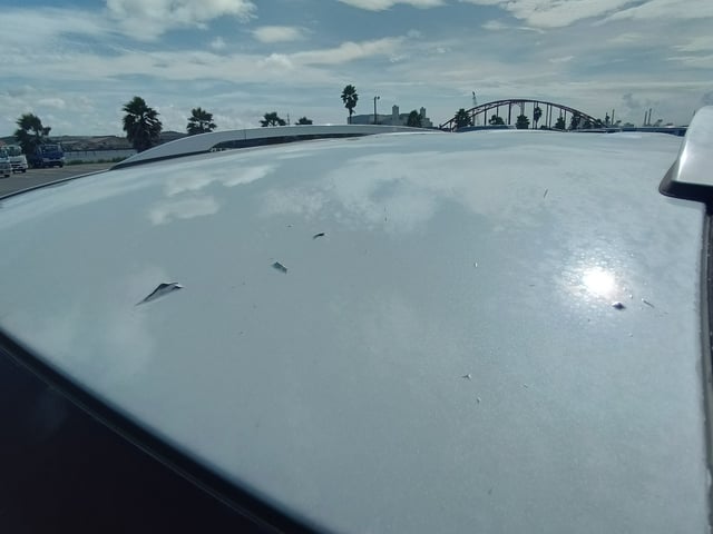 283.jpg