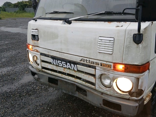 283.jpg