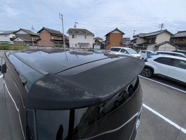 281.jpg