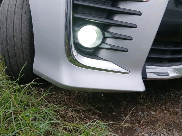 287.jpg