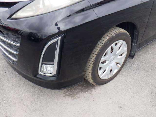 282.jpg