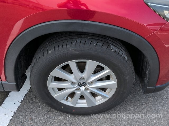 13.jpg
